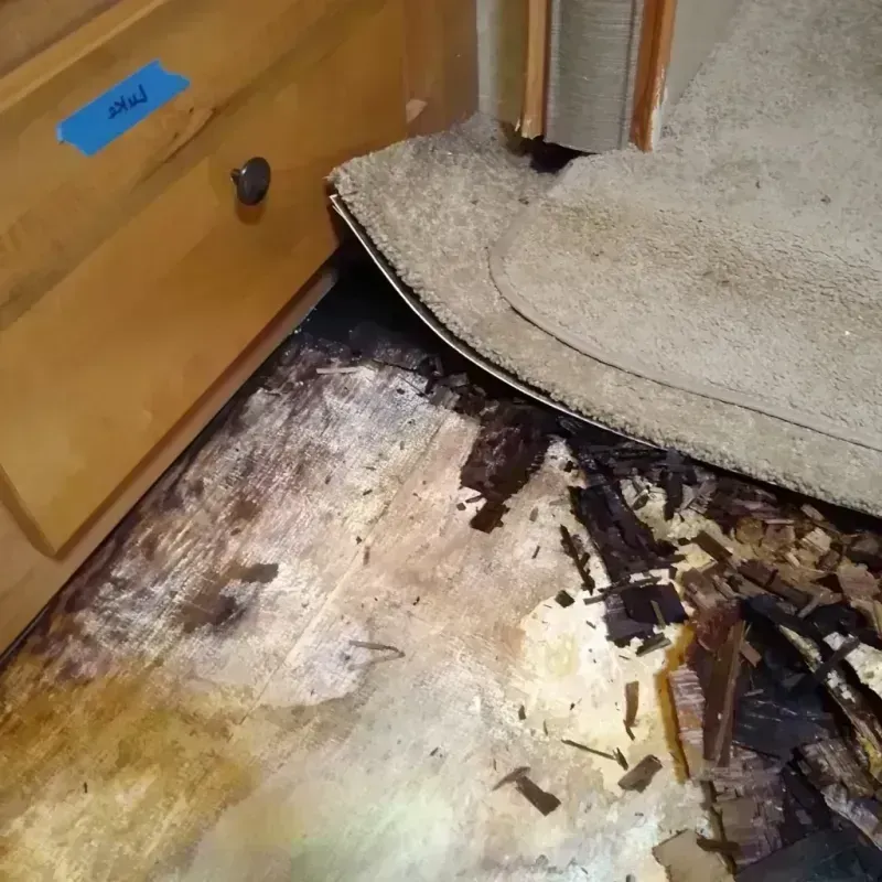 Wood Floor Water Damage in Lancaster, SC